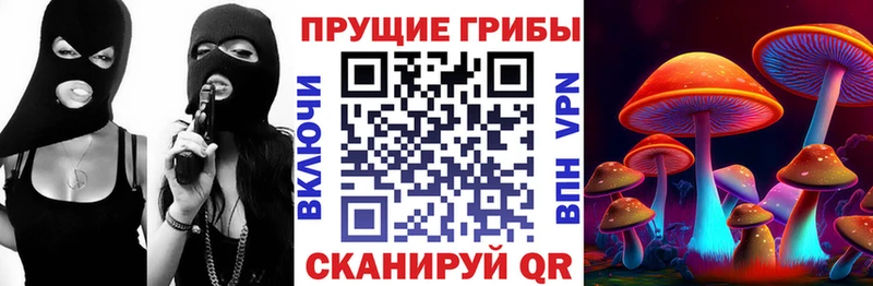 купить цена Зарайск Псилоцибиновые грибы Magic Shrooms